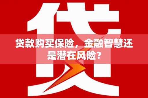 荔城贷款购买保险，金融智慧还是潜在风险？