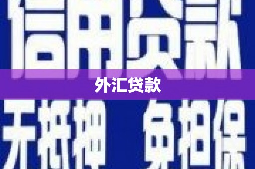 荔城外汇贷款