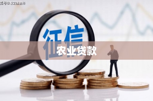 荔城农业贷款