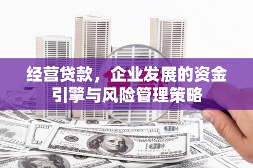 荔城经营贷款，企业发展的资金引擎与风险管理策略
