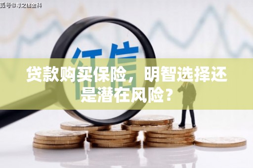 荔城贷款购买保险，明智选择还是潜在风险？
