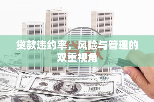 荔城贷款违约率，风险与管理的双重视角