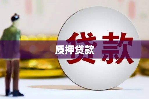 荔城质押贷款