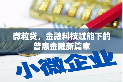 荔城微粒贷，金融科技赋能下的普惠金融新篇章