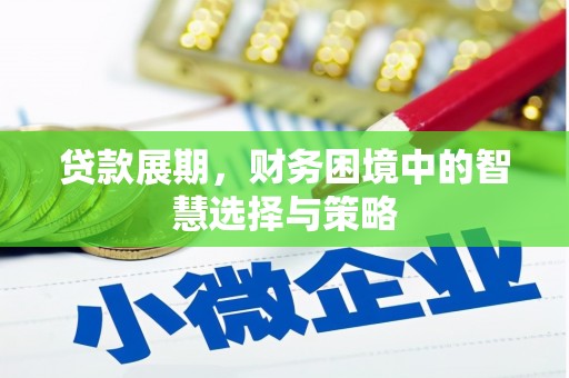 荔城贷款展期，财务困境中的智慧选择与策略
