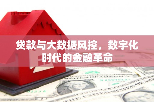 荔城贷款与大数据风控，数字化时代的金融革命