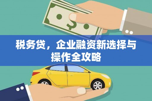 荔城税务贷，企业融资新选择与操作全攻略