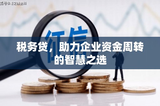荔城税务贷，助力企业资金周转的智慧之选
