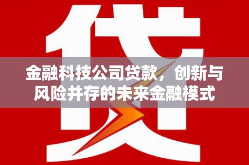 荔城金融科技公司贷款，创新与风险并存的未来金融模式