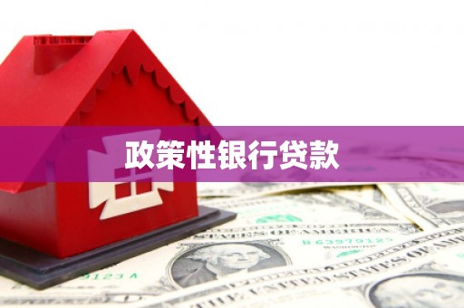 荔城政策性银行贷款
