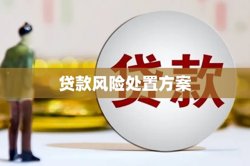 荔城贷款风险处置方案