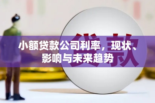 荔城小额贷款公司利率，现状、影响与未来趋势