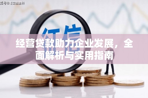 荔城经营贷款助力企业发展，全面解析与实用指南