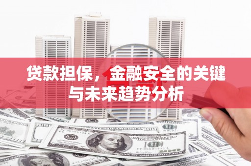 荔城贷款担保，金融安全的关键与未来趋势分析