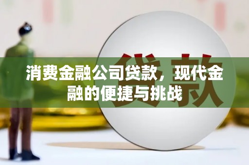 荔城消费金融公司贷款，现代金融的便捷与挑战