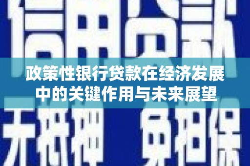 荔城政策性银行贷款在经济发展中的关键作用与未来展望