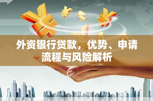 荔城外资银行贷款，优势、申请流程与风险解析