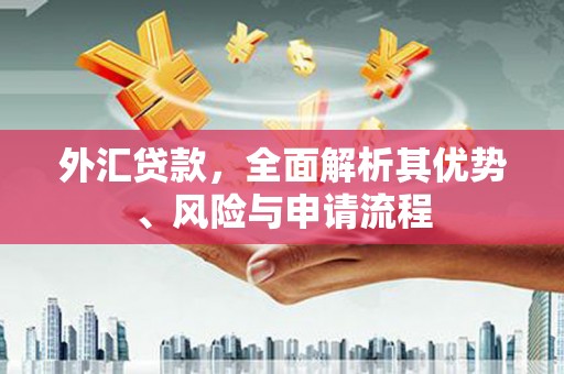 荔城外汇贷款，全面解析其优势、风险与申请流程