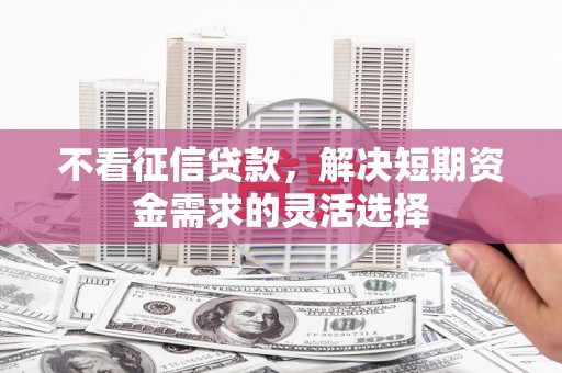 荔城不看征信贷款，解决短期资金需求的灵活选择