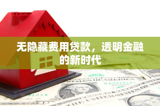荔城无隐藏费用贷款，透明金融的新时代