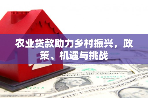 荔城农业贷款助力乡村振兴，政策、机遇与挑战