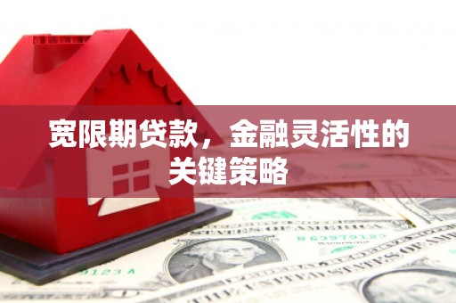 荔城宽限期贷款，金融灵活性的关键策略