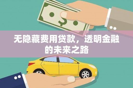 荔城无隐藏费用贷款，透明金融的未来之路