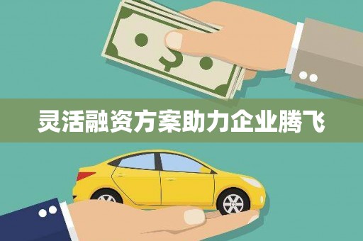 荔城灵活融资方案助力企业腾飞