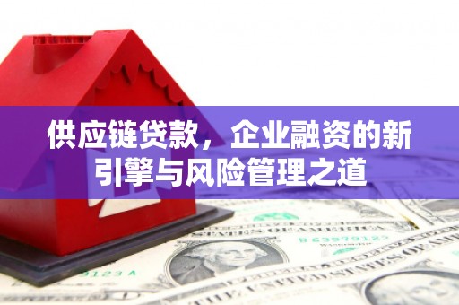 荔城供应链贷款，企业融资的新引擎与风险管理之道