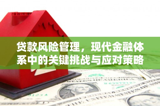 荔城贷款风险管理，现代金融体系中的关键挑战与应对策略