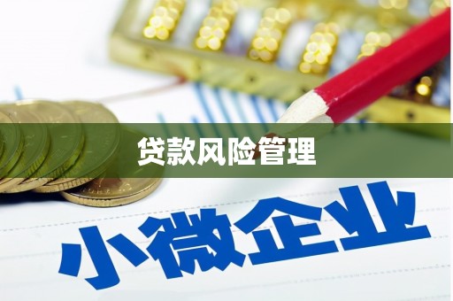 荔城贷款风险管理