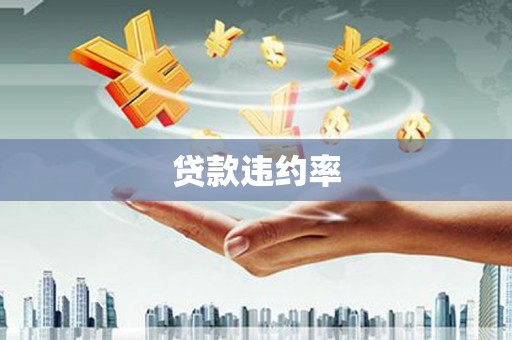 荔城贷款违约率