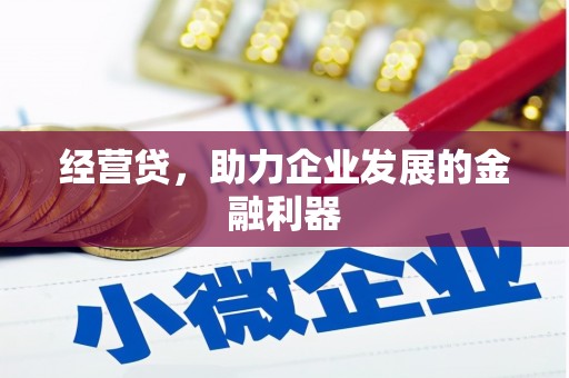荔城经营贷，助力企业发展的金融利器