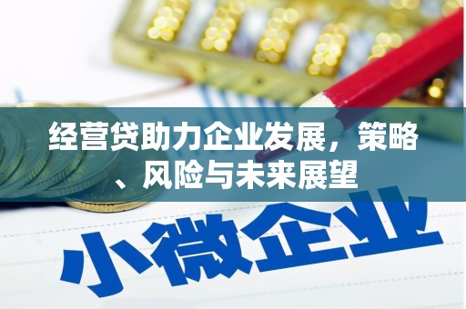 荔城经营贷助力企业发展，策略、风险与未来展望
