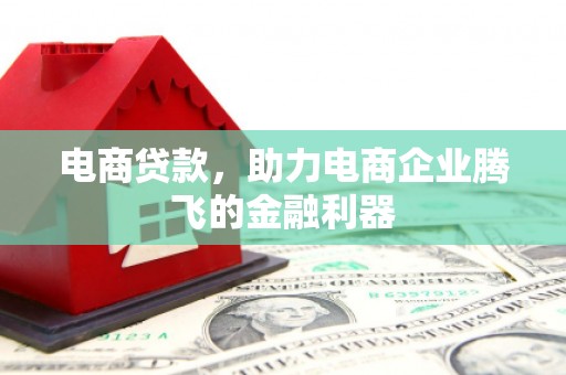 荔城电商贷款，助力电商企业腾飞的金融利器