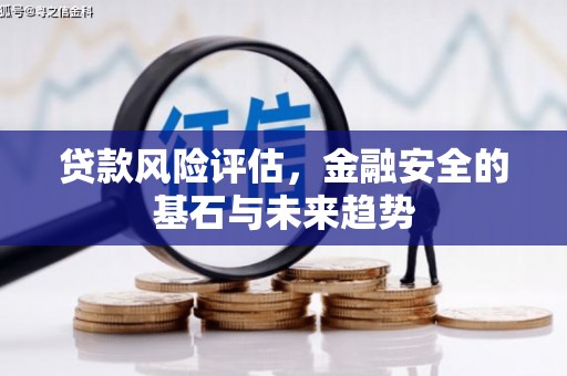荔城贷款风险评估，金融安全的基石与未来趋势