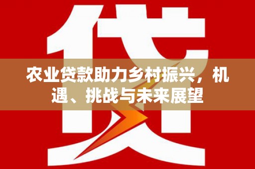 荔城农业贷款助力乡村振兴，机遇、挑战与未来展望