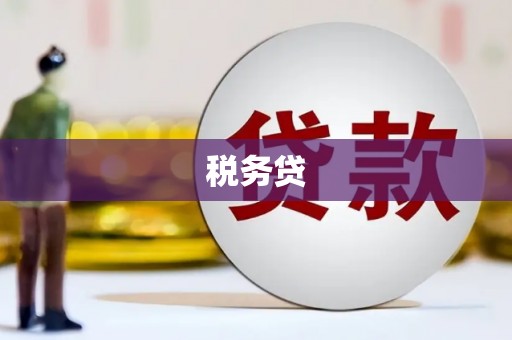 荔城税务贷