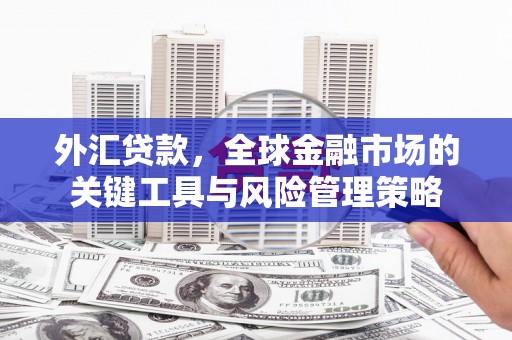 荔城外汇贷款，全球金融市场的关键工具与风险管理策略