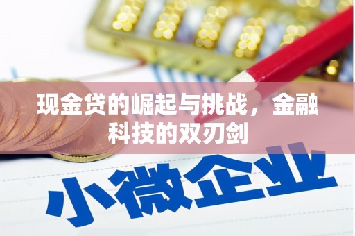 荔城现金贷的崛起与挑战，金融科技的双刃剑