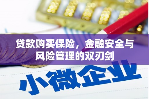 荔城贷款购买保险，金融安全与风险管理的双刃剑