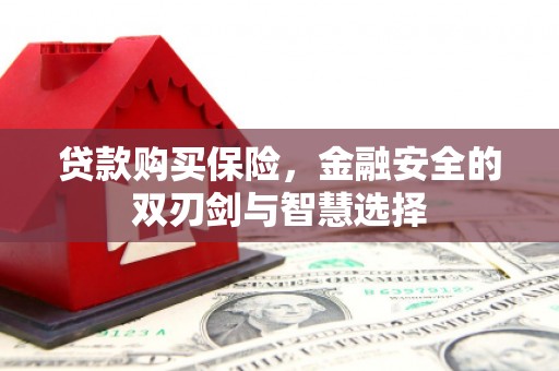 荔城贷款购买保险，金融安全的双刃剑与智慧选择