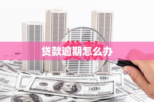 荔城贷款逾期怎么办