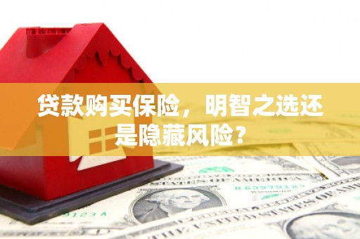 荔城贷款购买保险，明智之选还是隐藏风险？