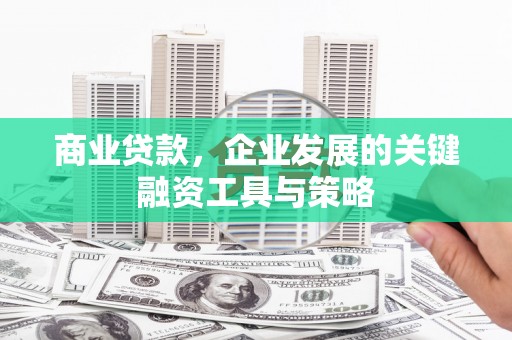 荔城商业贷款，企业发展的关键融资工具与策略