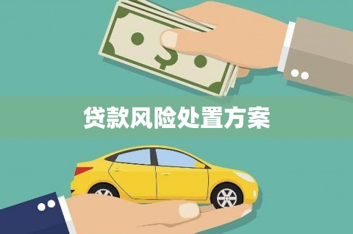荔城贷款风险处置方案