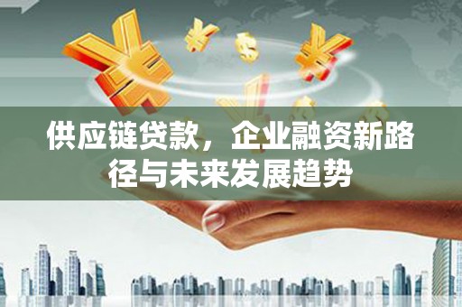 荔城供应链贷款，企业融资新路径与未来发展趋势