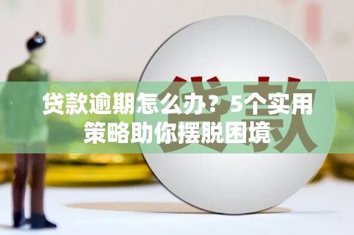 荔城贷款逾期怎么办？5个实用策略助你摆脱困境