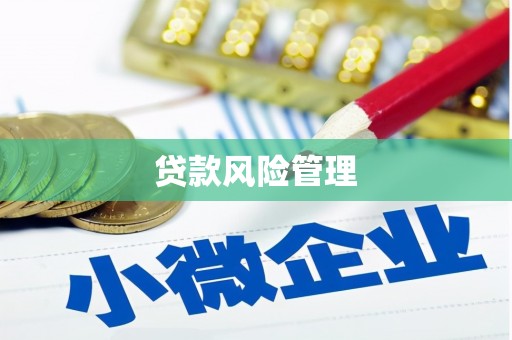 荔城贷款风险管理