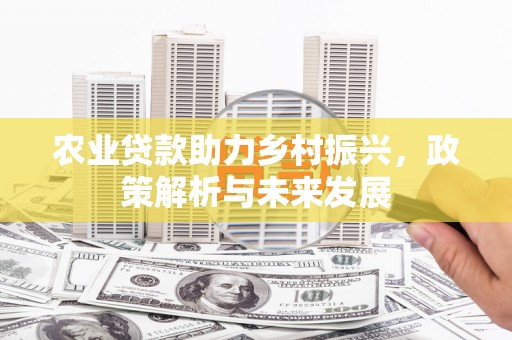 荔城农业贷款助力乡村振兴，政策解析与未来发展
